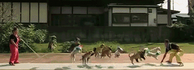 δ.gif