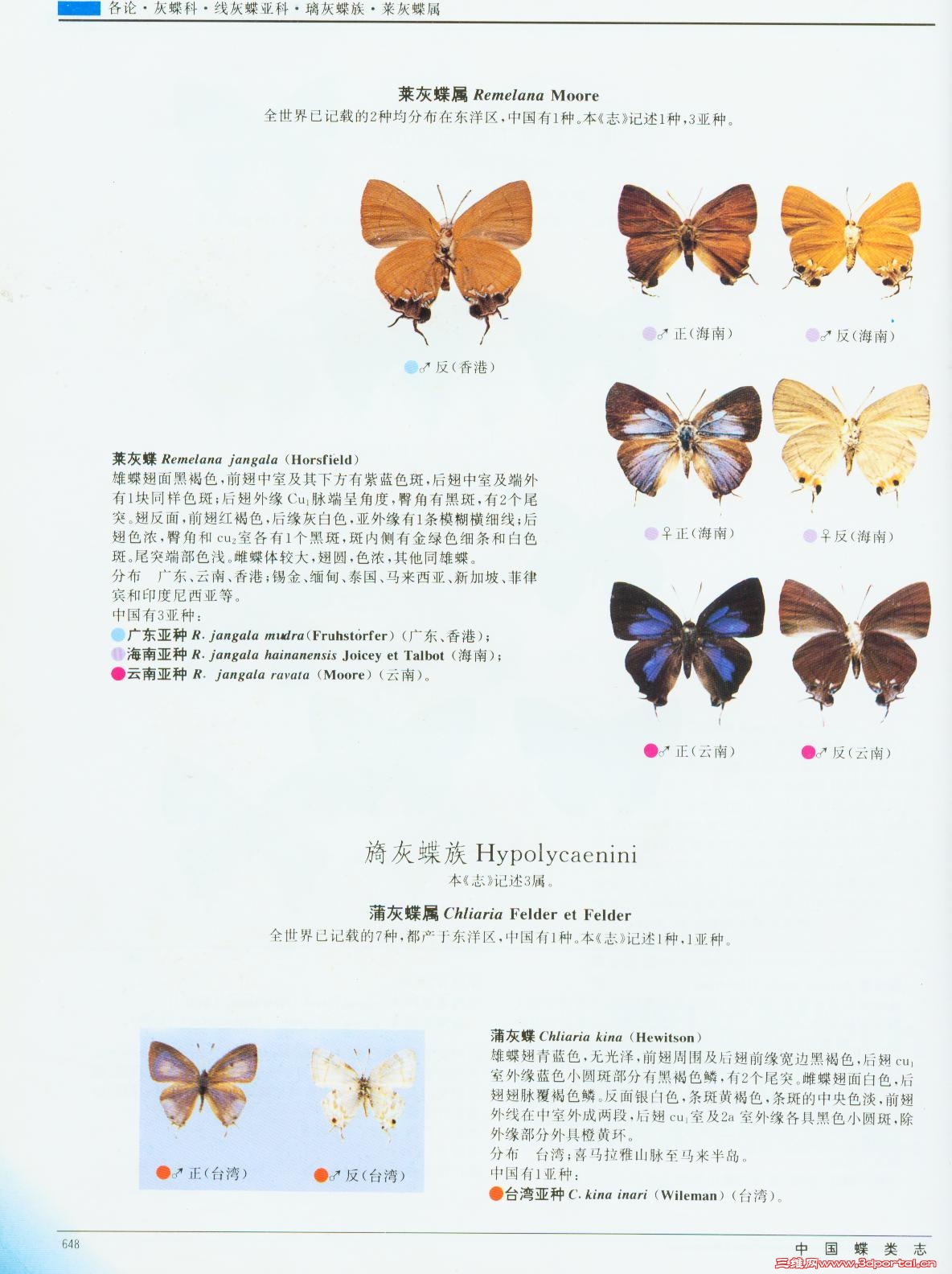 18face96e84402607af480cc.jpg