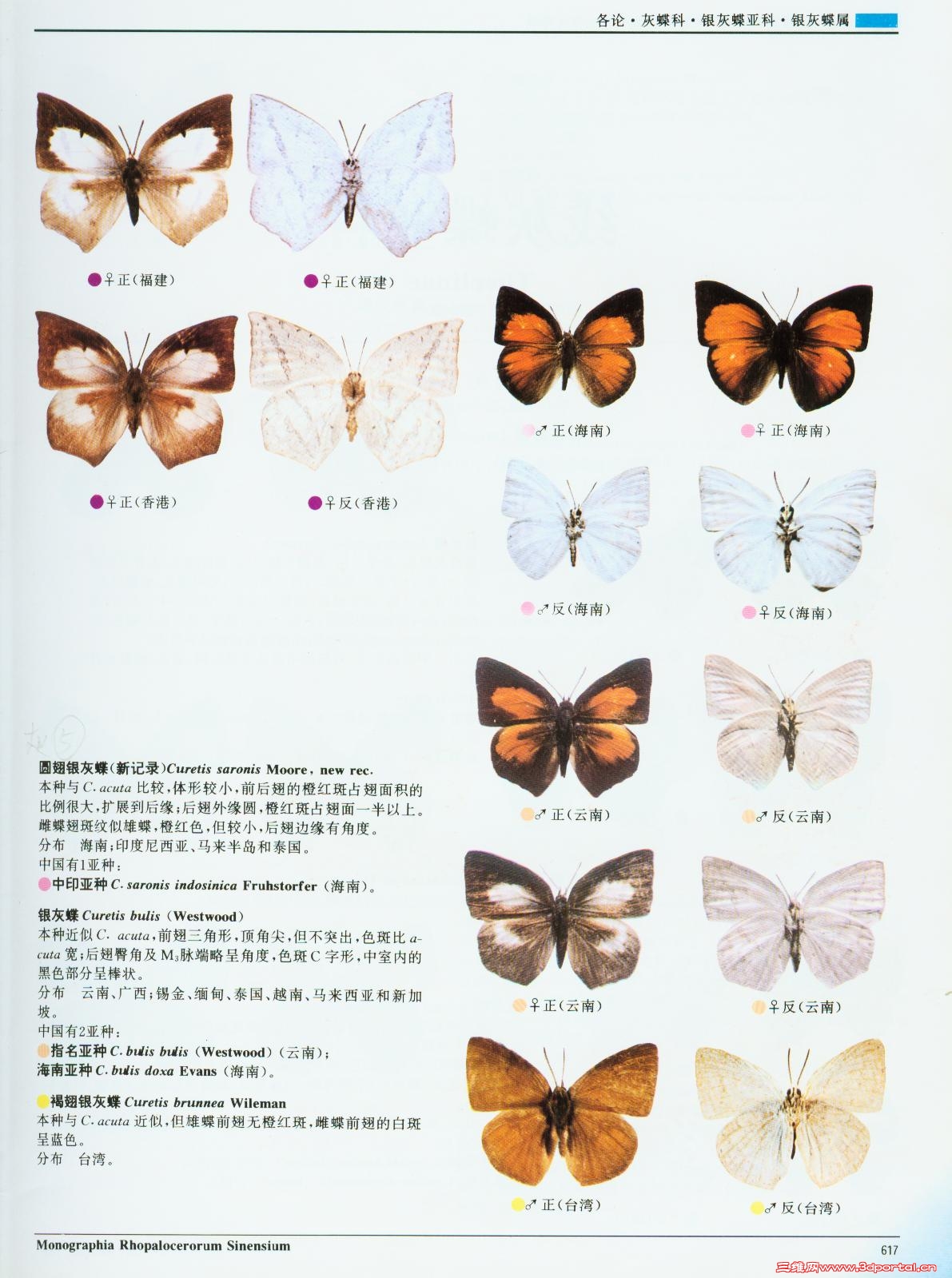 588f58d767e87866a38bb739.jpg