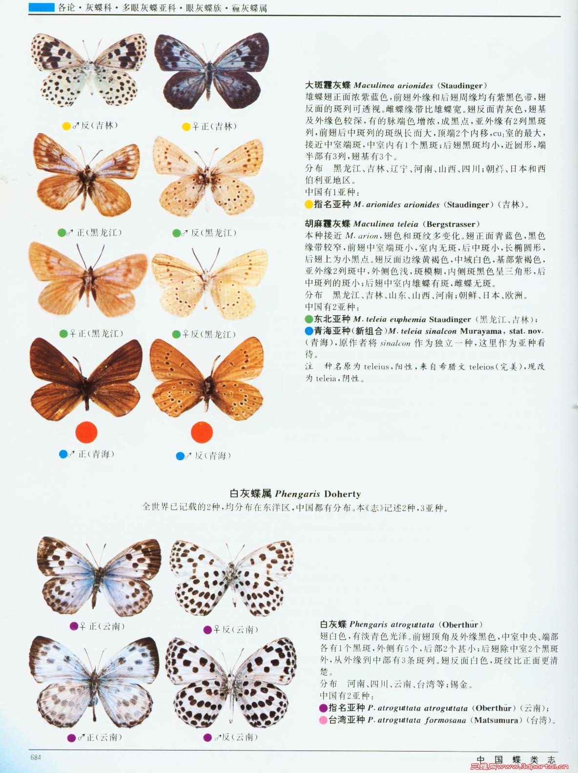 a1d6b35a3750d4422934f081.jpg