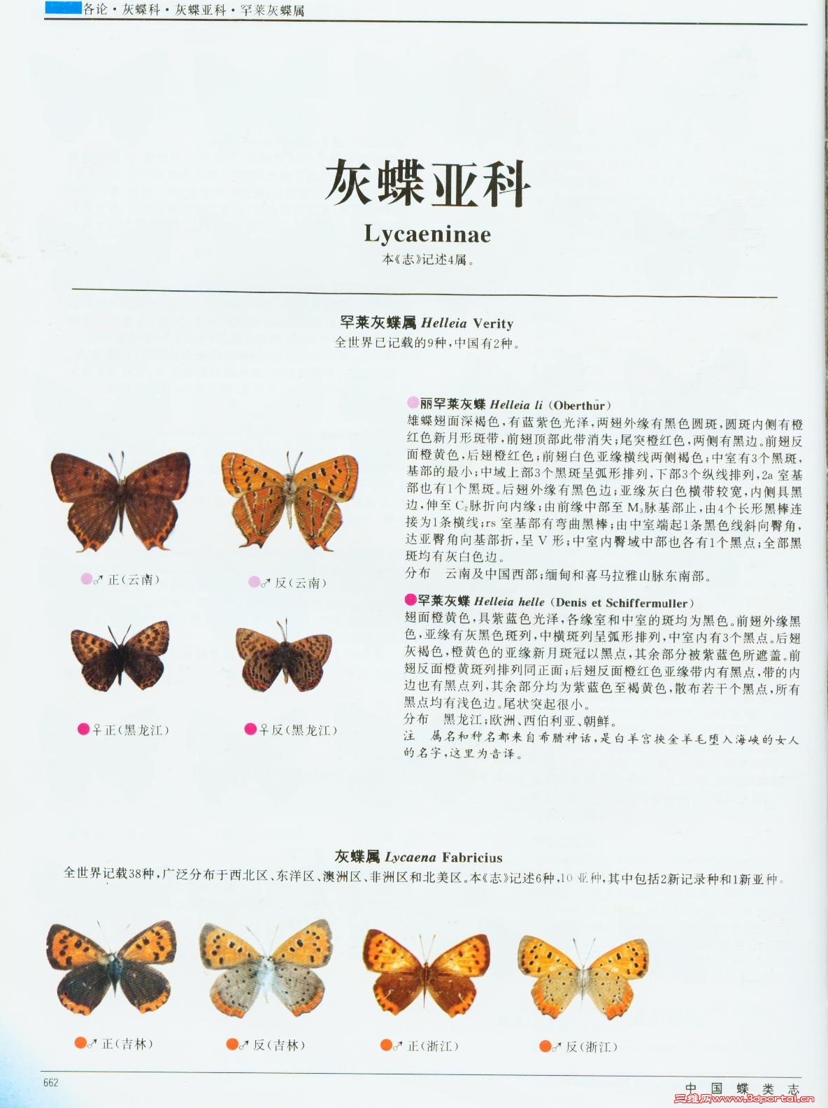 a2c3549736847d76d31b70ca.jpg