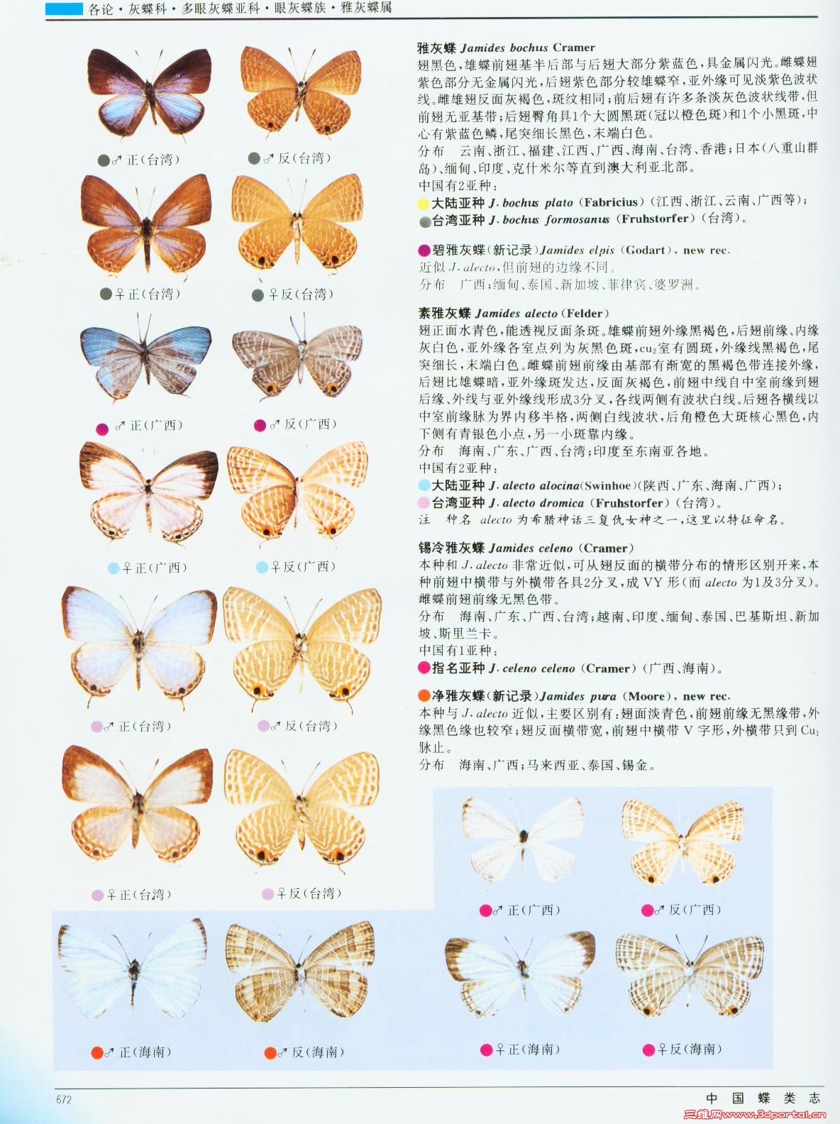 e9c12bdf5577bac9cc1166bb.jpg