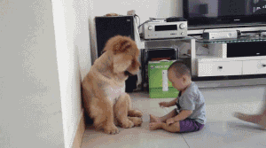T13t69XnJhXXXXXXXX_!!764779436-1-pix.gif