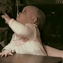 Ű.gif