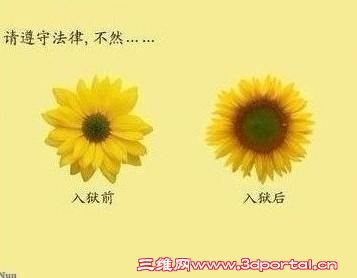 38030c5e419ff650190.jpg