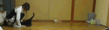 2000.gif