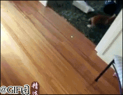 õġҵʹˡ.gif