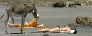 678.gif