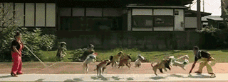 .gif