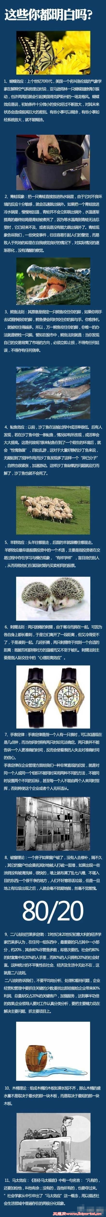 6e1d7cedjw1e670841b5kj20c83vjn73_.jpg