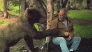 e01e313egw1e8md9fi0tqg208c04qws2.gif