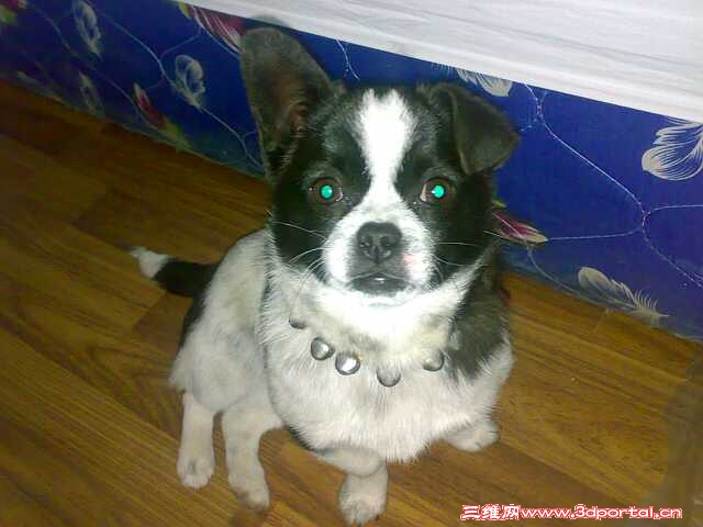 20100210129-С.jpg