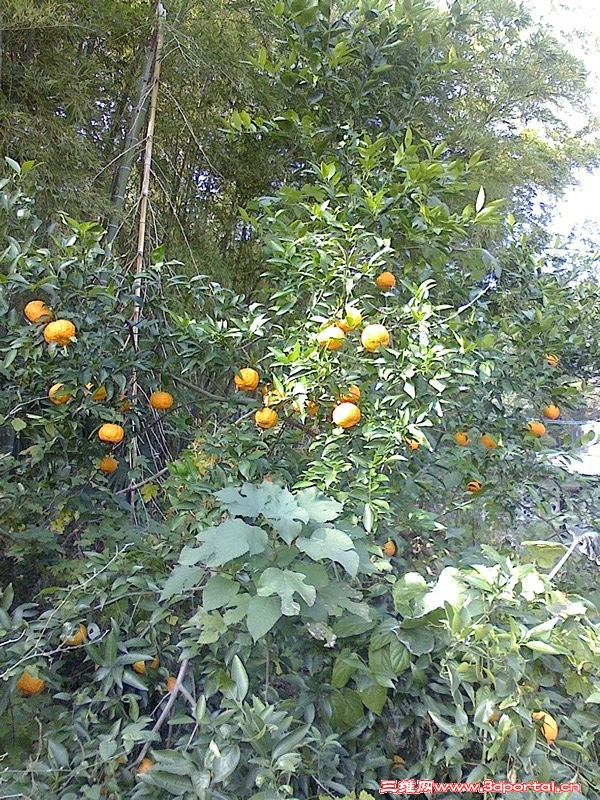 13.jpg