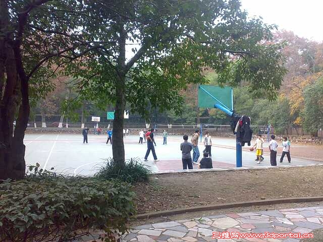 17 .jpg