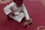 㻹ҧ.gif