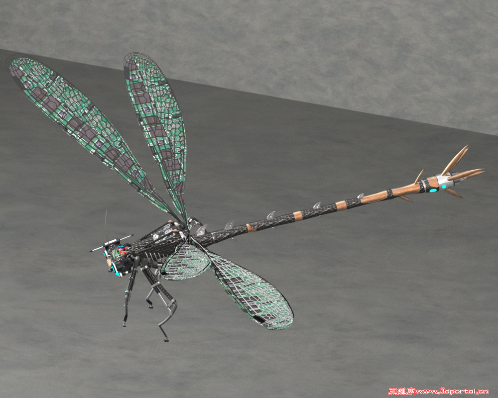 Damselfly2.png