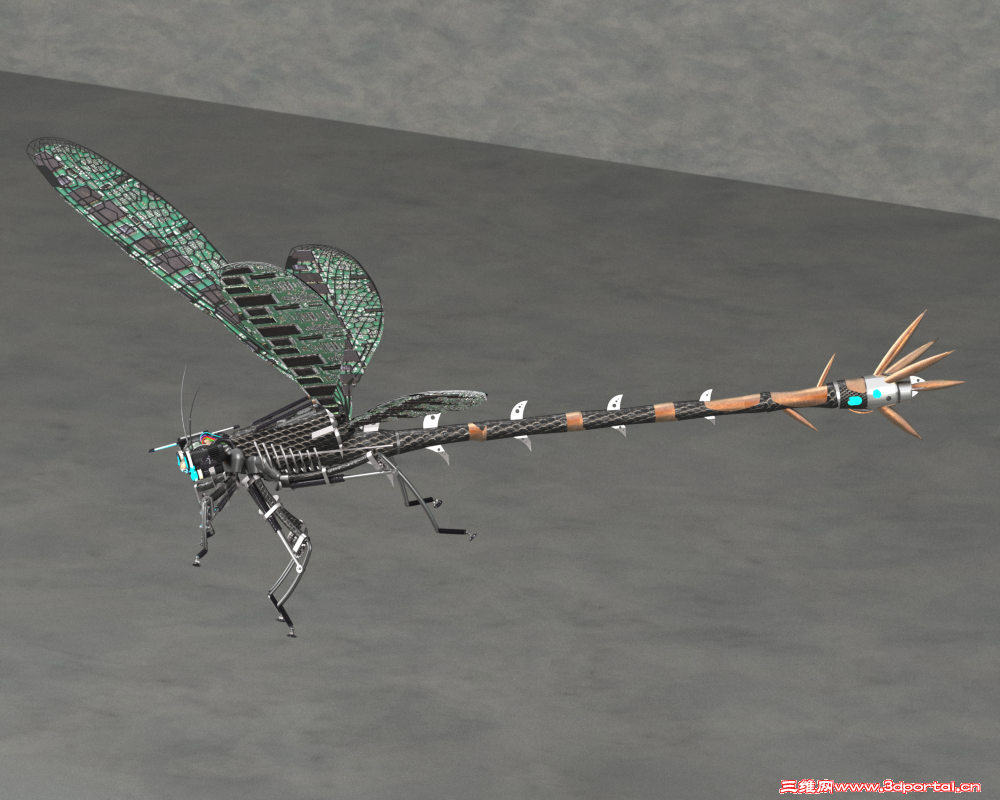 Damselfly3.png