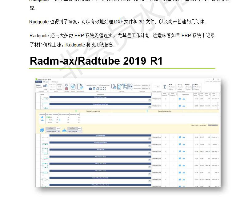 Radan-2019-R1---����˵��_15.jpg