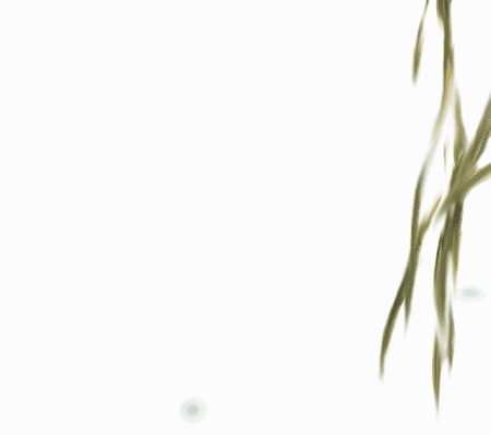 19ʯ.gif