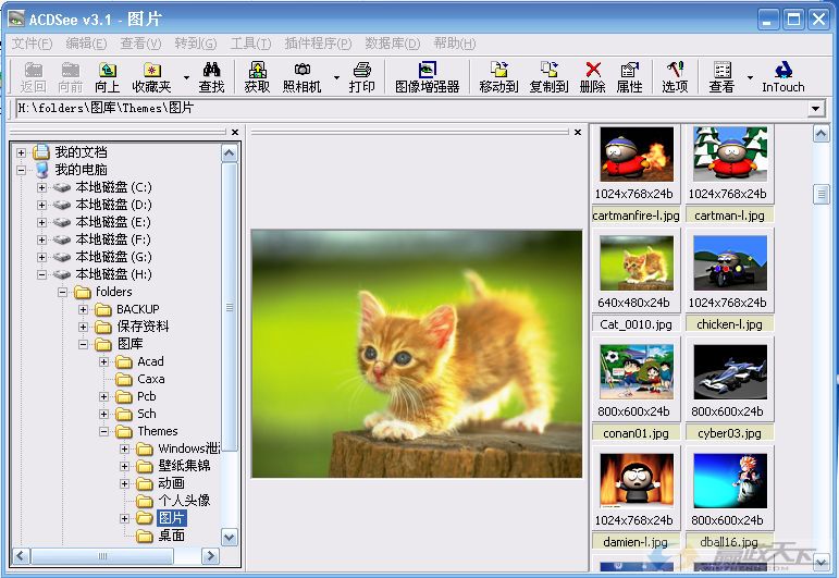 ACDsee V3.1.jpg
