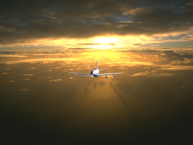 p-1.jpg