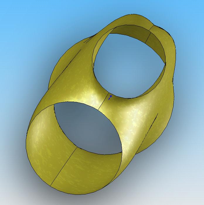 Triradiata_4_.JPG