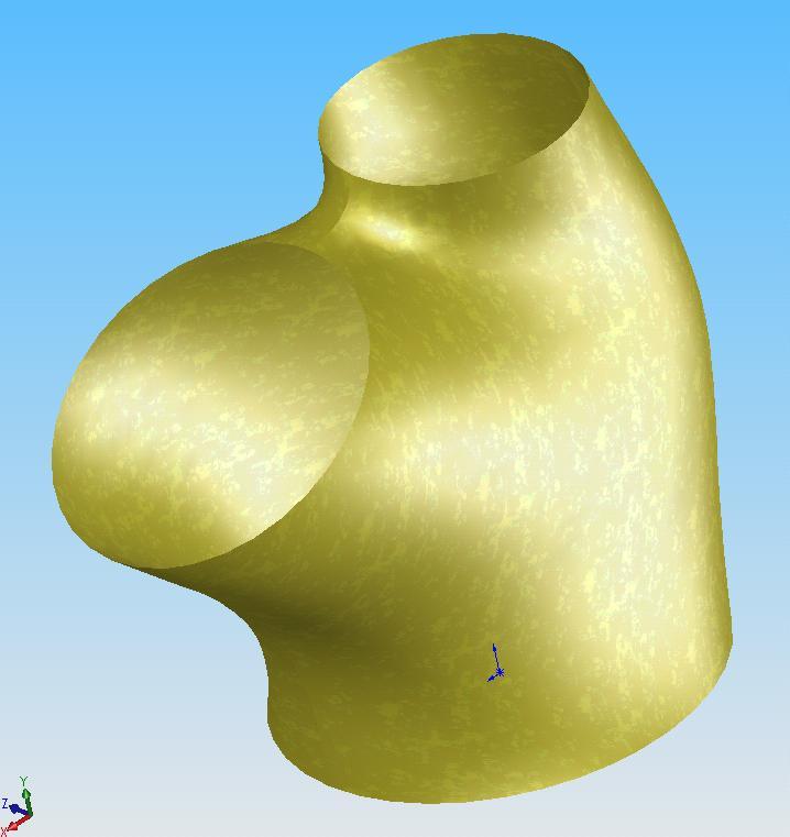 Triradiata_1_.JPG
