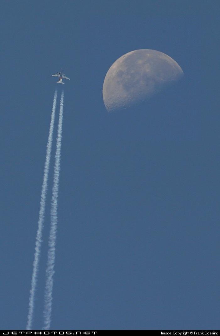 739.jpg