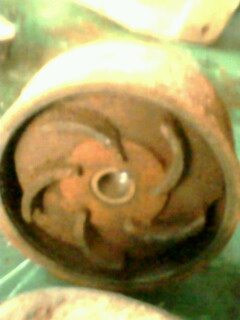 IMG0049A.jpg