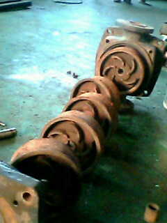 IMG0055A.jpg