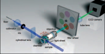 ������·ͼ