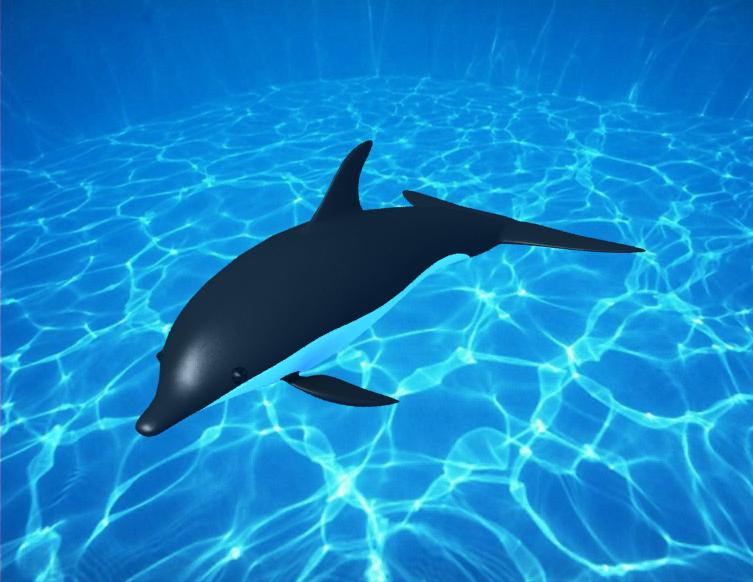 dolphin-zxys.jpg