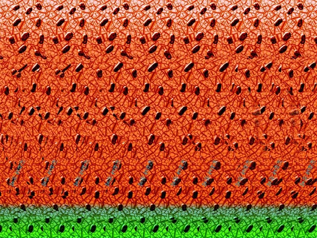 άͼ-16.jpg