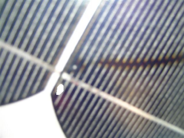 DSCN1999M.JPG
