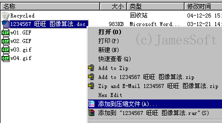 v05.gif