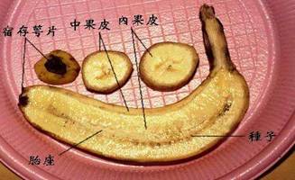 熟透的香蕉.一定要看