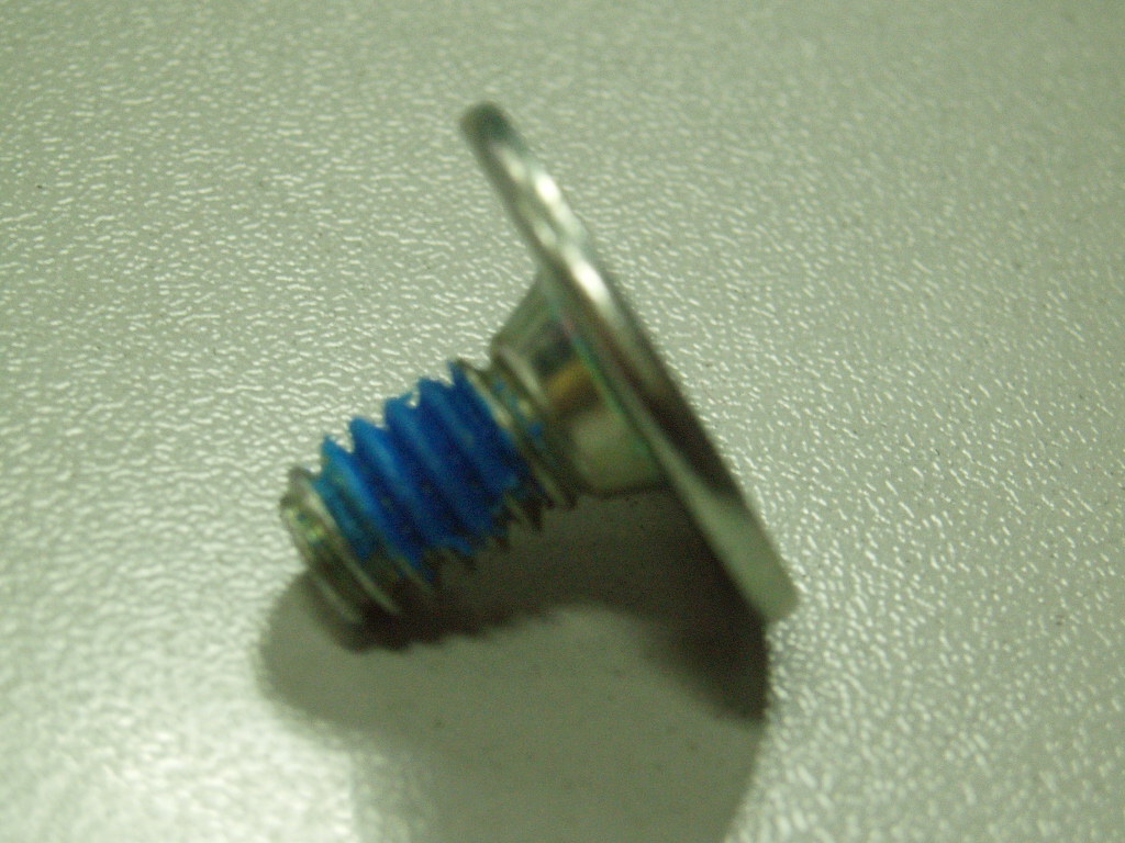 P2190004.JPG