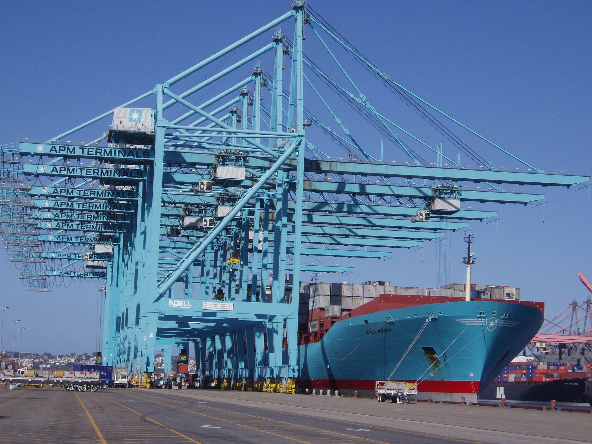 ¹صMAERSKͷNOELLŵ