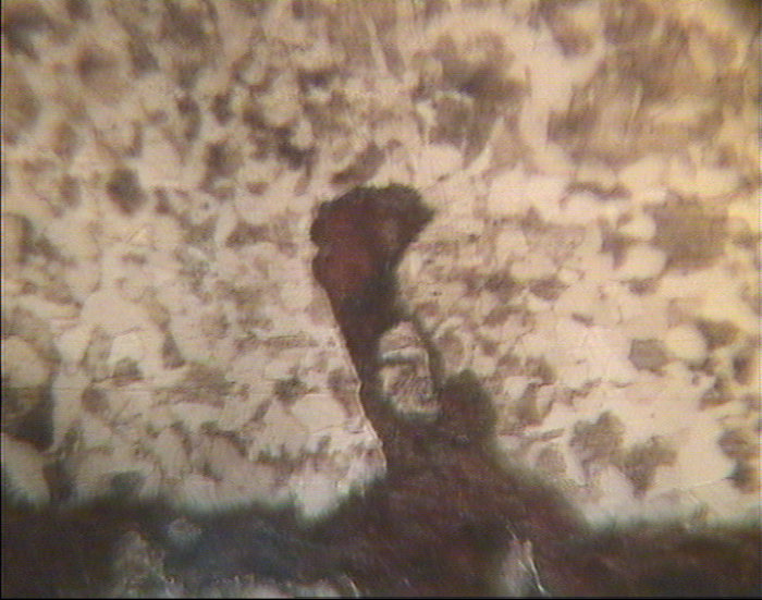 400���������˸�ʴ