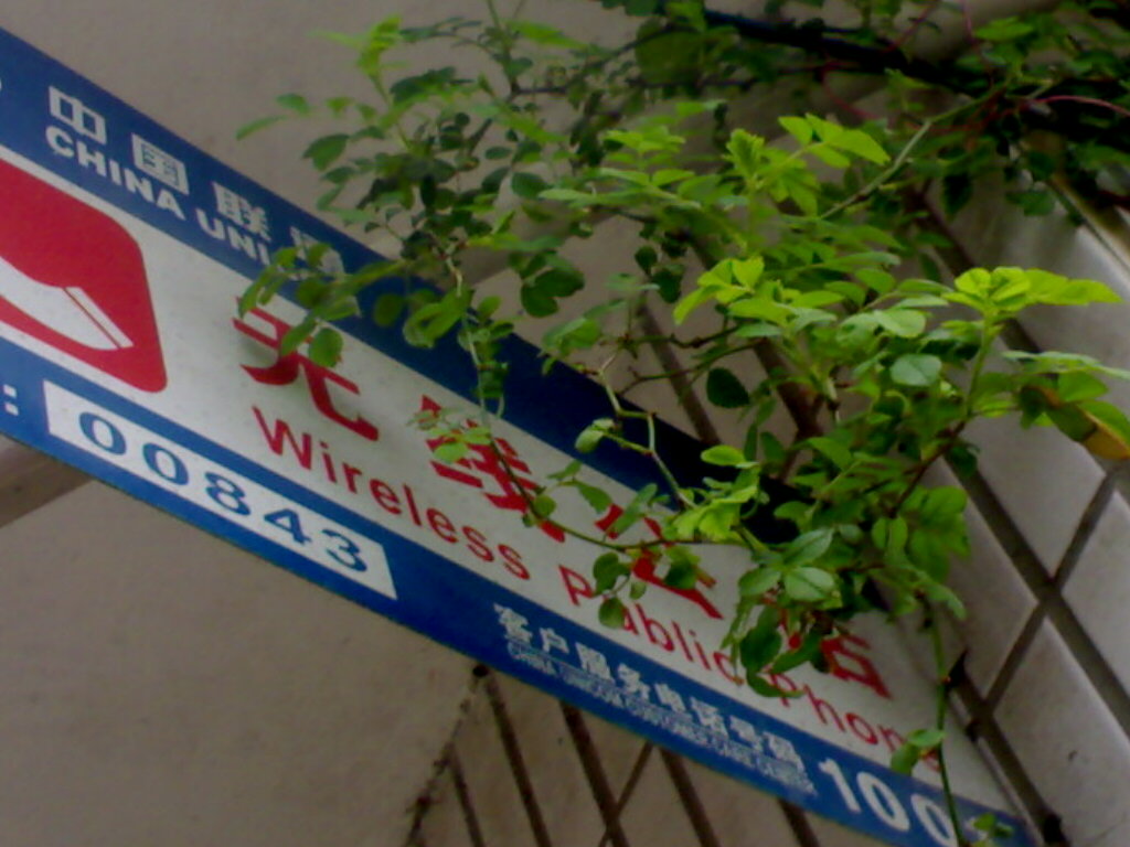13ҲҪõ绰.jpg