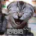 0B68D64C8C69F7C72269E6B0331FF817.GIF