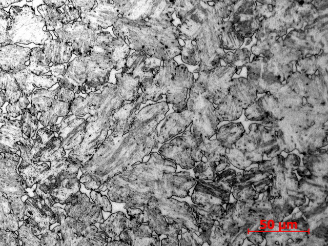 �����Ĳ�500��