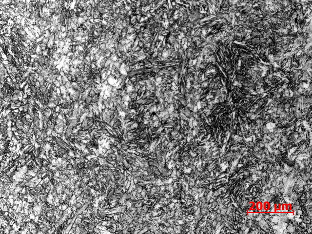 �����Ĳ�100��