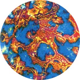 ǹ׿.jpg