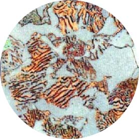 ǹ2.jpg