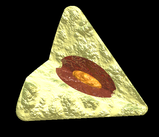 zif1.jpg