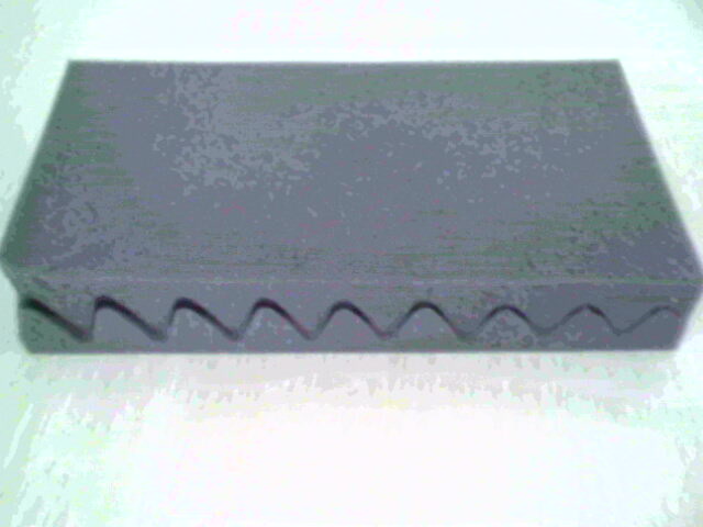 IMG0064A.jpg