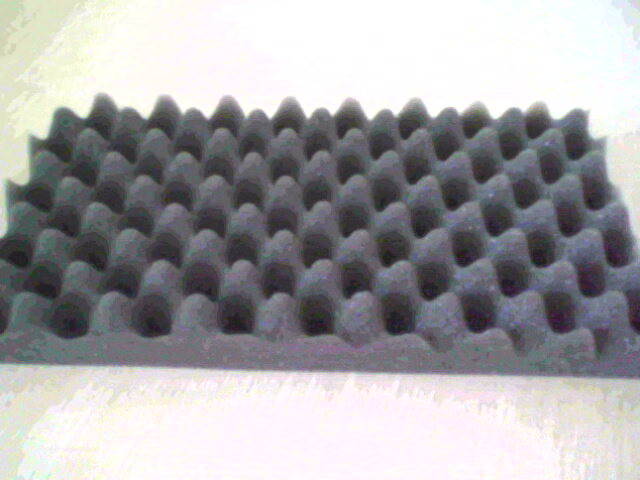 IMG0063A.jpg