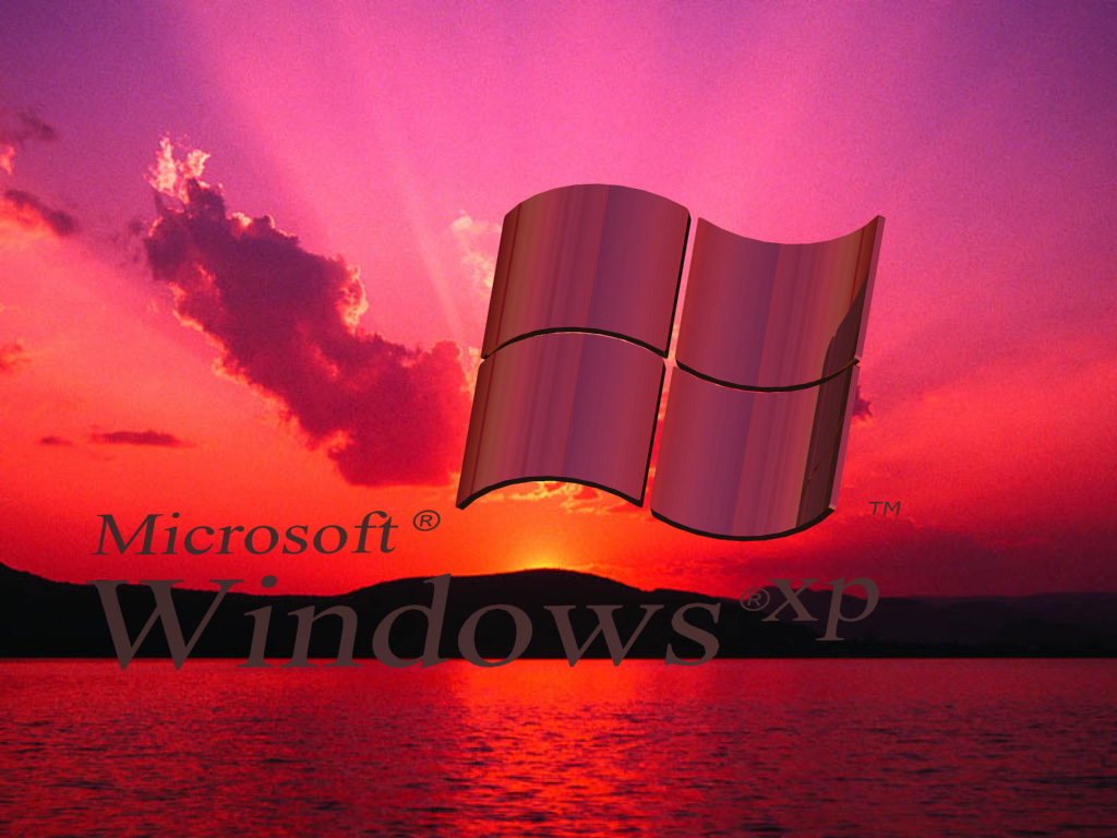 windows4.jpg