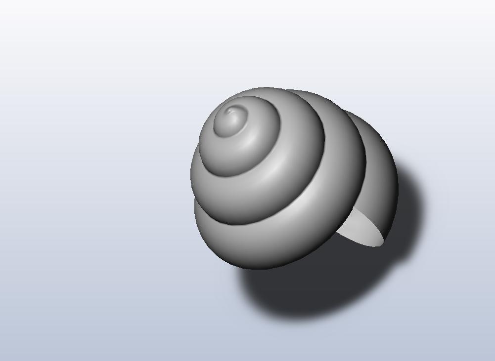 snail2.jpg